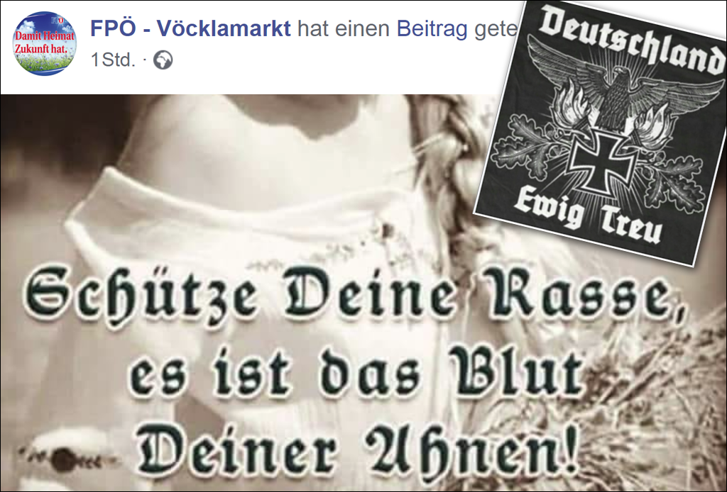 Nazi-Posting auf FPÖ Seite