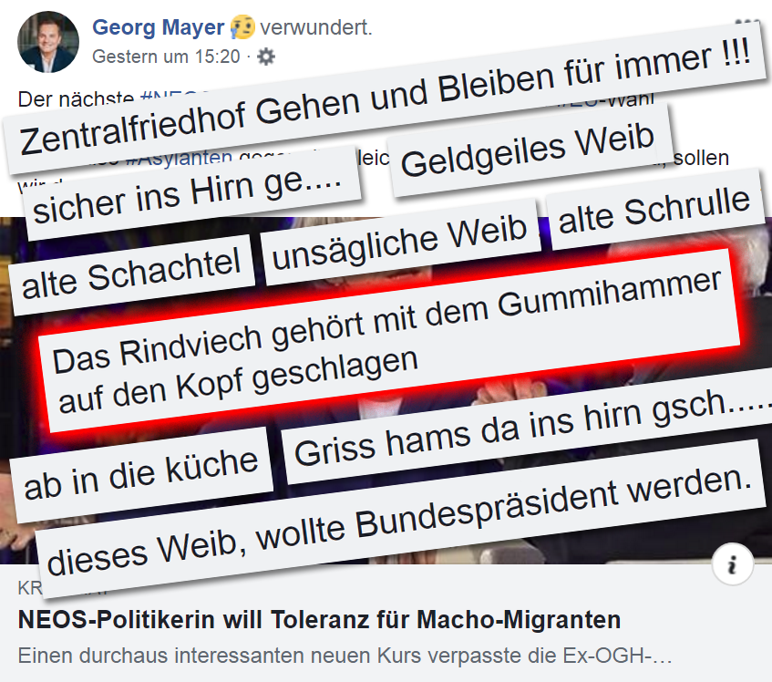 Bei FPÖ-MEP Georg Mayer vs. Irmgard Griss (NEOS): „Rindviech mit dem Gummihammer auf den Kopf schlagen“